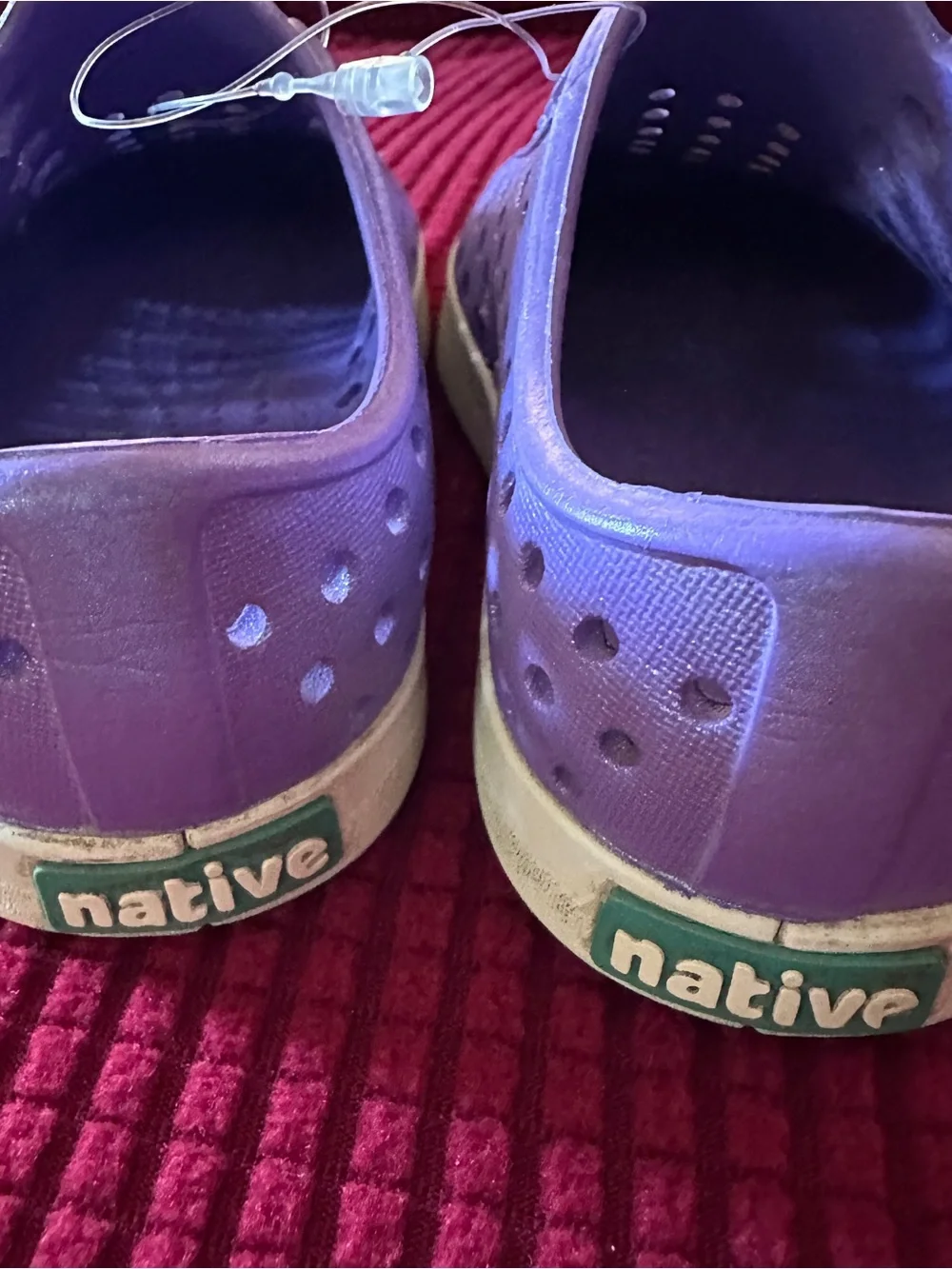 Native purple Jefferson’s fair C7